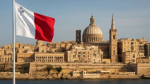 Ready-made Maltese Authorised Payment Institution (API) for Sale product image